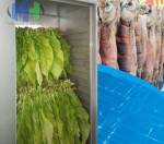 Tủ Sấy Khô Lạnh WRH-100 (MHNS-D07)